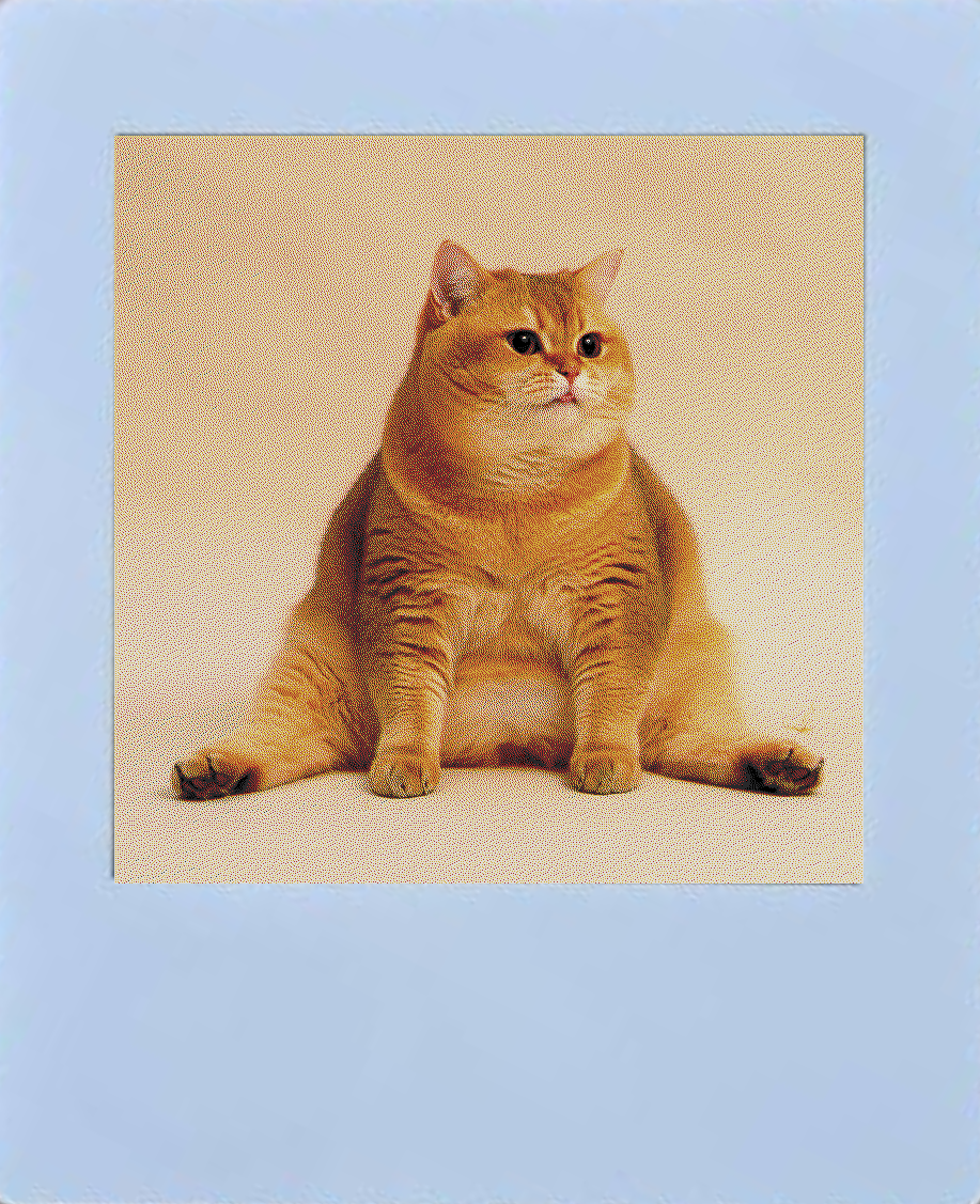 Card with cat artwork on the e-ink screen, simulation